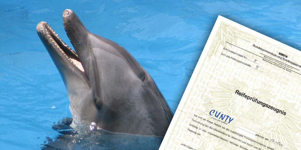 Cunty Delfin Matura