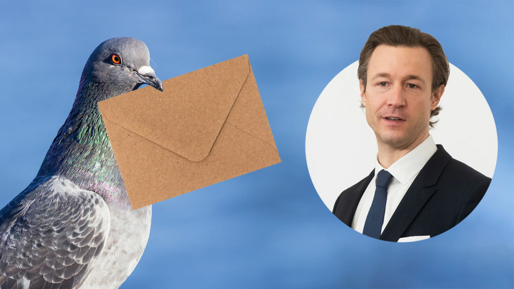 Brieftaube, daneben Blümel