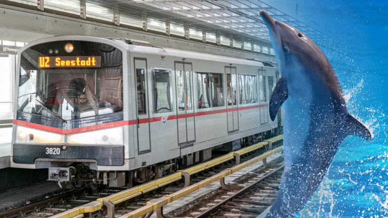 U-Bahn und Delfin