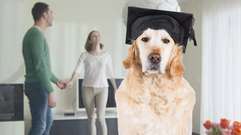 Hund führt durch Wohnung