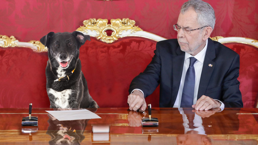 Van der Bellen mit Hündin bei Angelobung