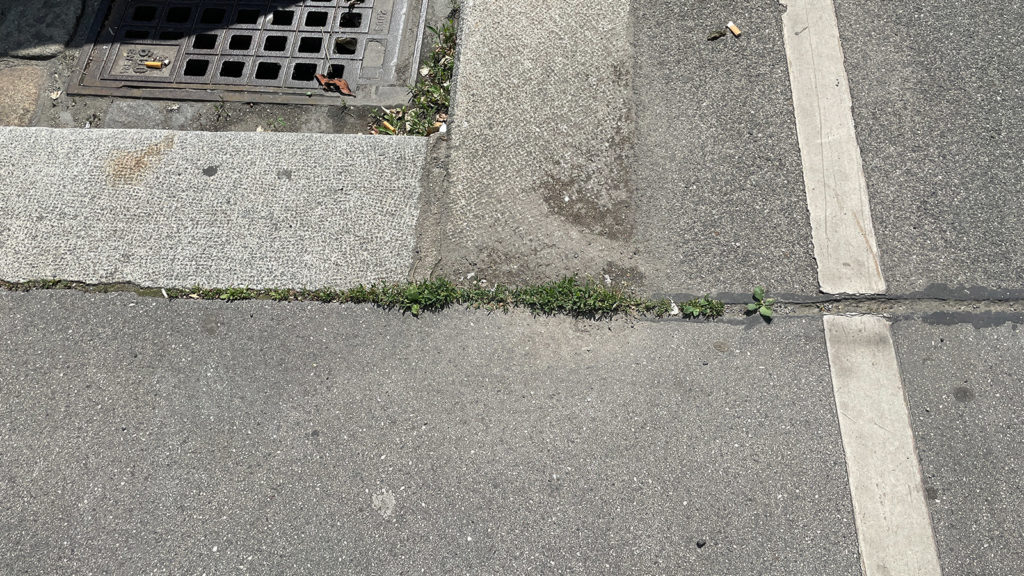 Beton mit Grashalmen dazwischen