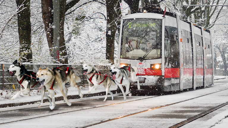 Straßenbahn wird von Schlittenhunden durch Schnee gezogen