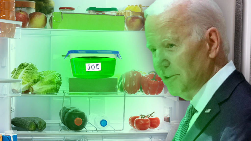 Joe Biden vor seinem Kühlschrank