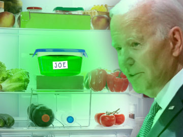 Joe Biden vor seinem Kühlschrank
