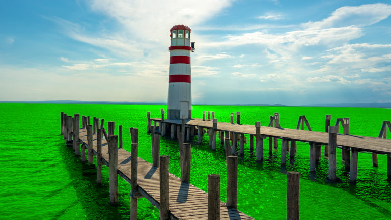 Ein grün leuchtender Neusiedlersee