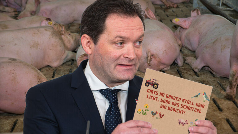 Landwirtschaftsminister Norbert Totschnig hält ein Buch, hinter ihm Schweine am Vollspaltboden