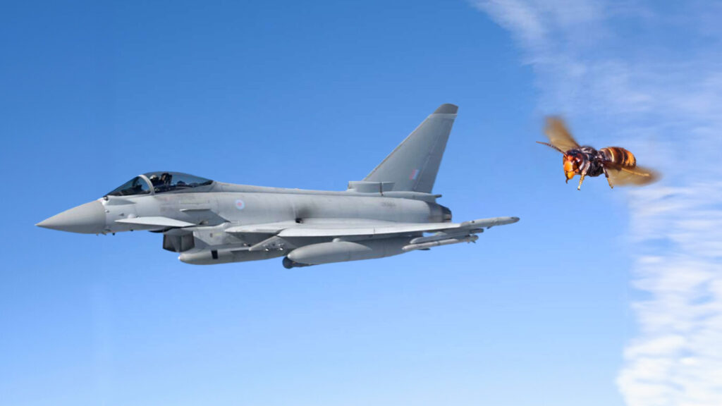 Das Bild zeigt eine Verfolgungsjagd zwischen einem Eurofighter und einer Riesenhornisse