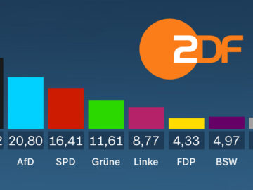 Das Bild zeigt das deutsche Wahlergebnis.