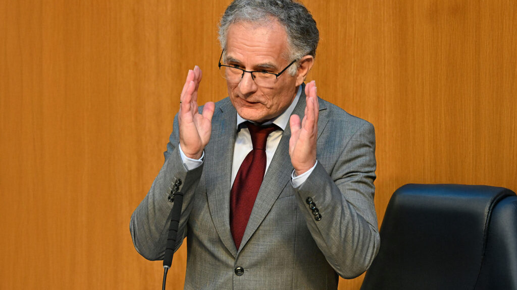 Das Bild zeigt Marterbauer bei der Budgetrede.