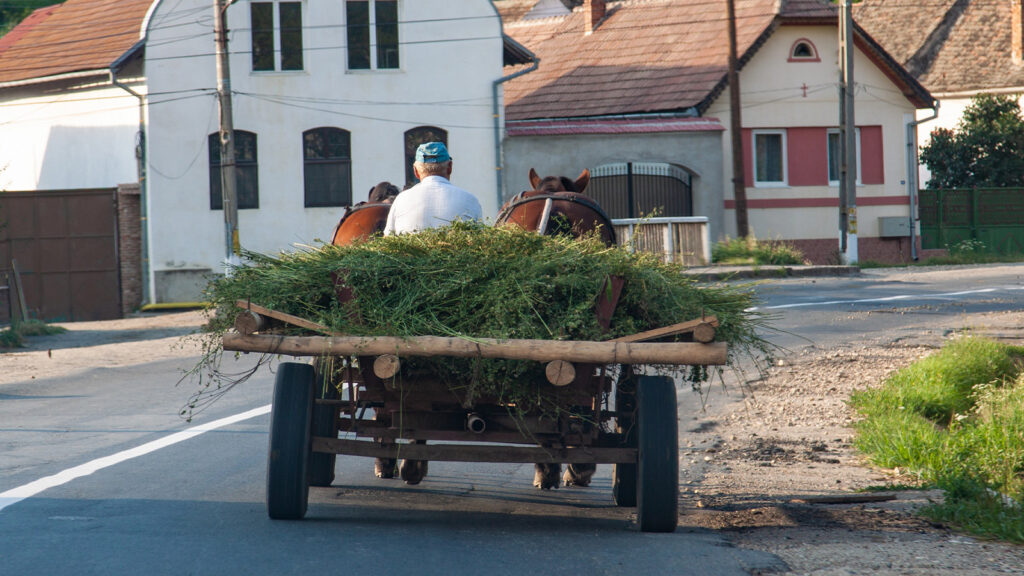 Das Bild zeigt eine Pferdekutsche in einer ländlichen Region.