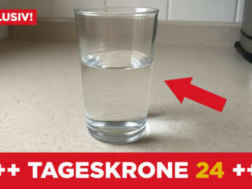 Das Bild zeigt ein Glas Wasser.