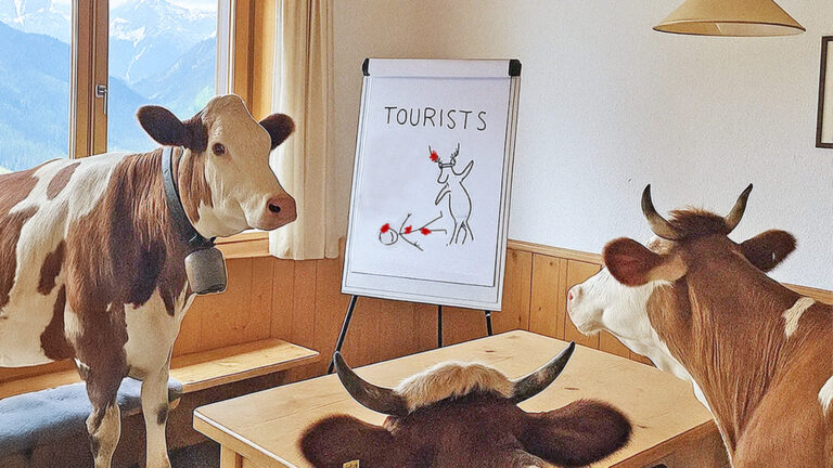 Das Bild zeigt Kühe bei einem Seminar in einer Tiroler Hütte samt Flipchart.