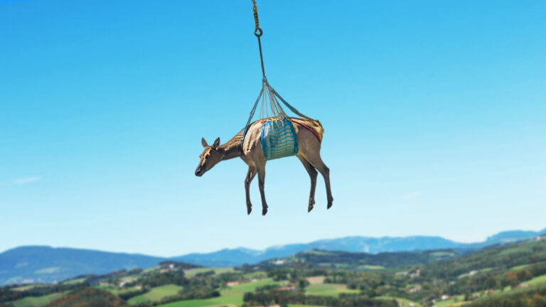 Das Bild zeigt einen Helch, der mit Bändern an einem fliegenden Helikopter befestigt ist.