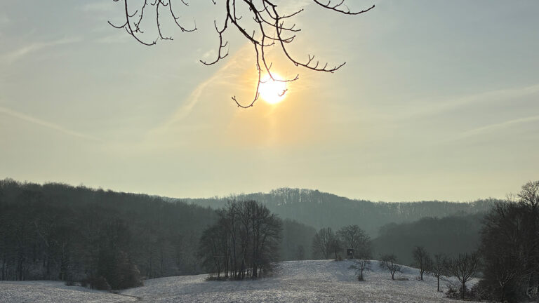 Sonne