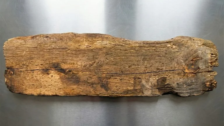 Das Bild zeigt ein Stück Holz.