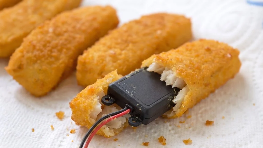 Das Bild zeigt einen Peilsender, der aus einem Fischstäbchen herausragt.