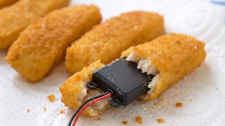 Das Bild zeigt einen Peilsender, der aus einem Fischstäbchen herausragt.
