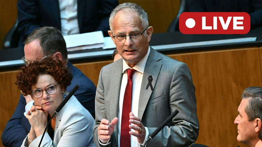 Das Bild zeigt Markus Marterbauer bei der Budgetrede im Parlament.