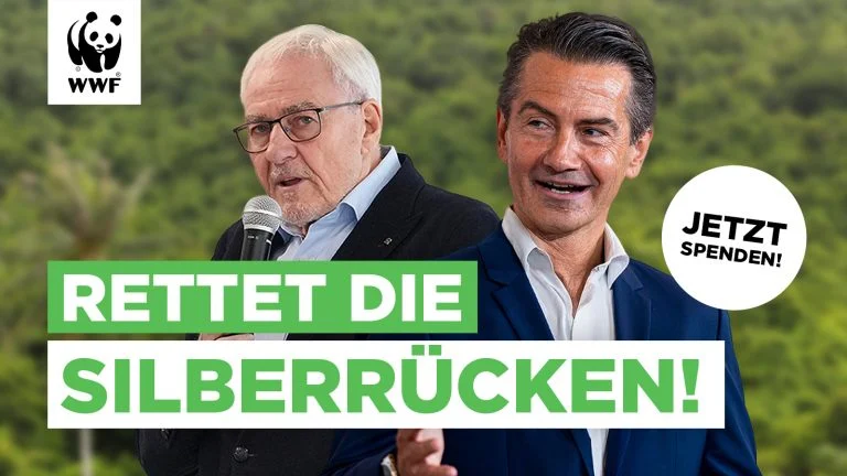 Das Bild zeigt ein Werbesujet des WFF mit dem Claim "Rettet die Silberrücken!".