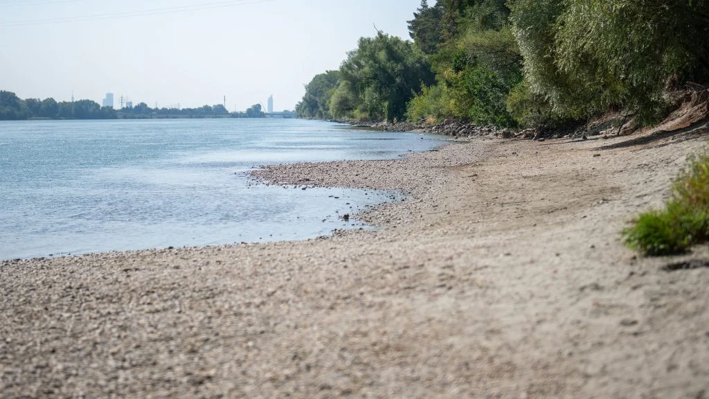 Ausgetrocknetes Ufer der Donau