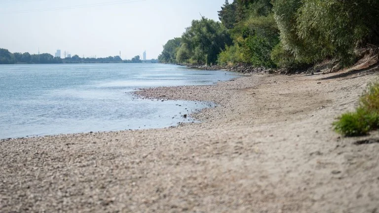 Ausgetrocknetes Ufer der Donau