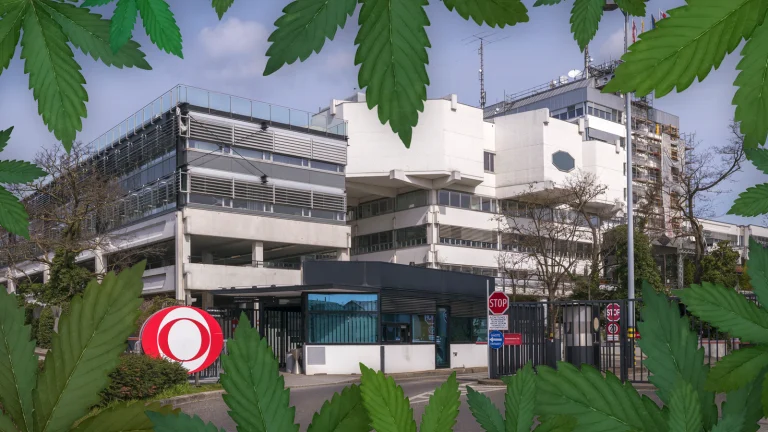 Das Bild zeigt das ORF-Zentrum umringt von Cannabisblättern.