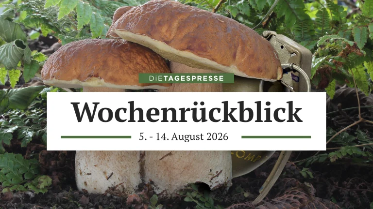 Das Bild zeigt einen Steinpilz, dahinter versteckt sich eine Handgranate.